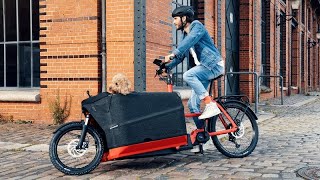 Riese and Muller Packster 70 Electric Cargo Bike Review [upl. by Del]