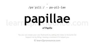 Pronunciation of Papillae  Definition of Papillae [upl. by Shea501]