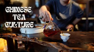 ALL i CAN DO Research in China 🇨🇳  Episode 3 Chinese Tea Culture chinatravel vlog china [upl. by Nogas]