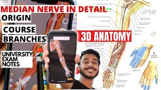 Median nerve anatomy course and branches  median nerve 3D anatomy  median nerve anatomy in hindi [upl. by Adnahsam]