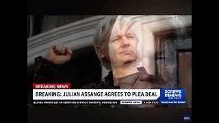 Julian Assange Agrees To Plea Deal With The US [upl. by Packer106]