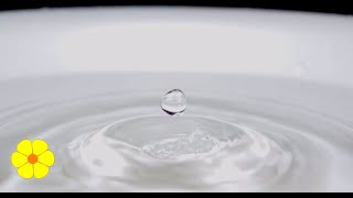 Single Drop of Water Falls in a Bucket  Water Drops  Water Dripping Slowly in a Tub  Relax Sounds [upl. by Sirronal657]