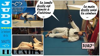 judo 🥋  DE ASHI BARAI  SEQUENCE EDUCATIF UKEMI perfectionnement du balayage 2 [upl. by Nehte]