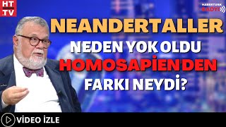 Neandertaller Neden Yok Oldu Homosapienden Farkı Neydi [upl. by Cavill]