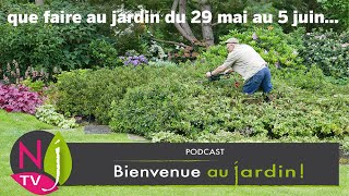 QUE FAUTIL FAIRE DANS LE JARDIN DU 29 MAI AU 5 JUIN  LES CONSEILS PRATIQUES DE PATRICK ET ROLAND [upl. by Koby954]