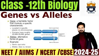 Gene vs Allele difference  Difference between Genes and Allele class 12 Biology  NEET [upl. by Mayne]