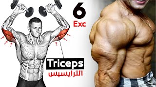 How To Build Your Triceps workout Fast 6 Effective Exercises [upl. by Notlew]