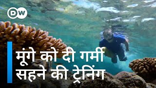 ताकि गर्म होते समुद्र में भी न मरें मूंगे Can we save coral reefs from climate change [upl. by Nosnibor]