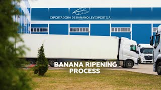 Banana ripening process [upl. by Tterrab20]