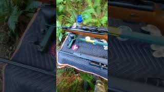 Beeman Sportsman RS2 breakbarrel 22cal  Gamo Big Cat 177 [upl. by Refinneg]