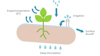 EVAPOTRANSPIRATION  Causes  Advantages  Disadvantages  issue SDG ClimateChange GlobalWarming [upl. by Rory]