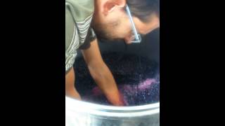 Vinification par infusion à Saint Emilion [upl. by Anitsirhc]