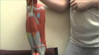 Lower Extremity Muscles [upl. by Netloc535]