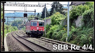 Zwei SBB Re 44 bei Neuenhof  Kanton Aargau  Schweiz 2024 [upl. by Nnep]