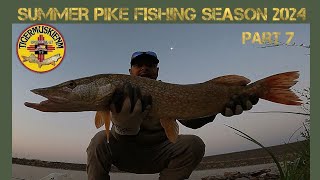 SUMMER PIKE FISHING SEASON 2024 PART 7 [upl. by Anaihs]