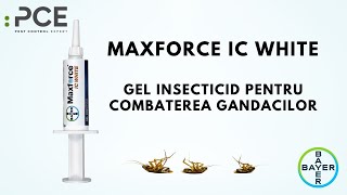 MaxForce IC Gel Bayer insecticid gel pentru gandaci de bucatarie gandaci de canalizare [upl. by Camala]