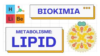 Metabolisme Makromolekul Lipid lipogenesislipolisis  Biokimia 101 [upl. by Geldens895]