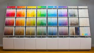 I took a colorblind person to SherwinWilliams [upl. by Janot]