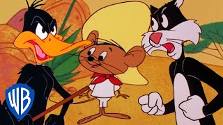 Looney Tunes  Best of Speedy Gonzales  Classic Cartoon Compilation  WB Kids [upl. by Natiha566]