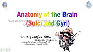 Anatomy of Cerebrum  Dr Yusuf [upl. by Meunier]