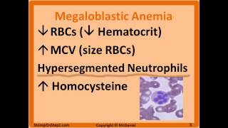 Folate amp B12 Deficiency Megaloblastic Anemia Hypersegmented Macrocytic Methylmalonic [upl. by Atokad]