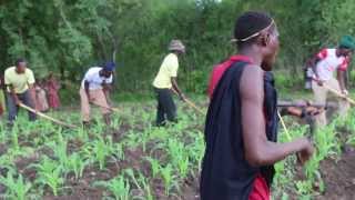 Tanzania Sukuma Bachonga Magembe working in the fields [upl. by Pacifa]