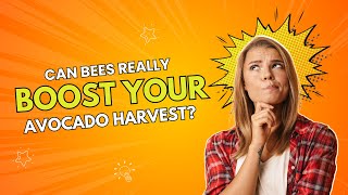 Is Avocado Good Food For Your Bees Bee Plant Series [upl. by Clayberg]