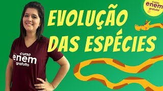 TEORIAS EVOLUCIONISTAS DARWINISMO E LAMARCKISMO  Resumo de Biologia para o Enem [upl. by Milks]