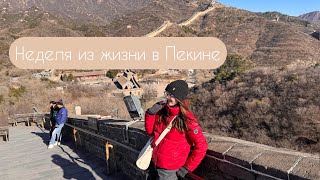 Учеба в Пекине🇨🇳 Peking University vlog  Великая стена и Запретный город [upl. by Watt826]