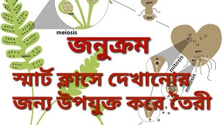 জনুক্রম Alternation of generation of Dryopteris in Bengali jonukrom WBBSELife scienceSmart class [upl. by Oiracam454]