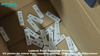 Lateral Flow Printer For Lateral Flow Cassettes Printing  UV Printer For Rapid Test Manufacturing [upl. by Gaspard]