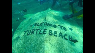 WORLD OCEANS DAY 08 JUNE 2024 BEACH CLEAN UP amp BABY TURTLE RELEASE  TURTLE BEACH NORTH BALI [upl. by Airrehs]