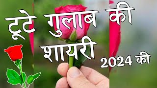 टूटे गुलाब की शायरी 2024 🌹Tute Gulab Ki Shayari 🌹 Gulab Shayari [upl. by Pablo561]