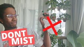 Why I stopped misting plants  How to actually increase humidity [upl. by Leyes49]