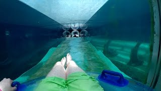 Atlantis Aquaventure  Serpent Slide Ride Through Shark Tank Nassau Bahamas [upl. by Nymsaj]