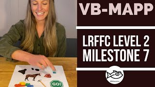 HowTo VBMAPP LRFFC Level 2 Milestone 7 [upl. by Leksehcey593]