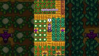 This Stardew Valley Crop Planner is SUPER Helpful stardew [upl. by Llerral]