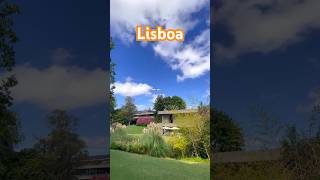 No jardim Calouste Gulbenkian 🇵🇹☀️🪴lisbon lisboa travel garden shorts [upl. by Barbie]