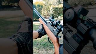 Evanix AR6K 22 Hunting Master PART 3 shorts targetshooting plinking airguns pcp [upl. by Annairb169]