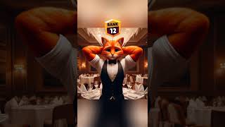 Waiter 🤣  Who is best Ginger cat vs white cat vs black cat cat funny catcute shorts [upl. by Reemas]