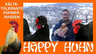 E124 Kältetolerante Hühnerrassen im Winter HAPPY HUHN  robuste abgehärtete Hühner für die Kälte [upl. by Nohpets]