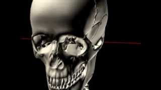 The Skull in Motion  Atlas and Occiput [upl. by Nabe]