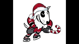 201819 Niagara IceDogs Holiday Video [upl. by Aisined]