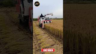 kubota AR70 combine harvester shorts kubota ytshorts [upl. by Florance]