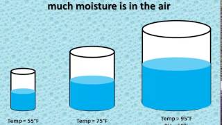 Relative Humidity vs Dewpoint [upl. by Atin]