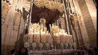 La Esperanza Macarena por la catedral de Sevilla [upl. by Yvonne]