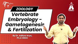 Vertebrate Embryology  Gametogenesis and Fertilization  Zoology  S Chand Academy [upl. by Nosdivad]