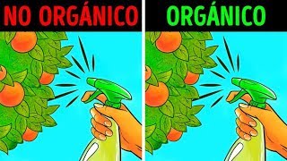 Comida orgánica es saludable o un gran mito [upl. by Nader]