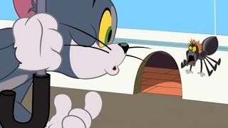 tom and jerry  ants problem  classic cartoons  Wbkidscartoonsbn3ix [upl. by Rehpatsirhc300]