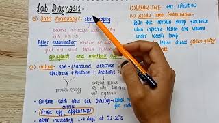 Superficial Mycosis dermatophyte mycology  types of superficial mycosis lab diagnosis [upl. by Nanni]